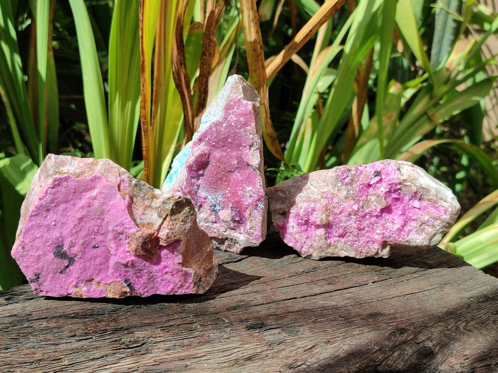 Natural Salrose Cobaltoan Dolomite with Malachite and Chrysocolla Specimens x 6 From Kakanda, Congo - Toprock Gemstones and Minerals 