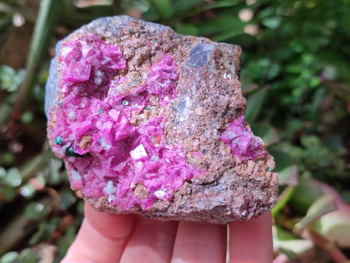 Natural Salrose Cobaltoan Dolomite with Malachite and Chrysocolla Specimens x 6 From Kakanda, Congo - Toprock Gemstones and Minerals 