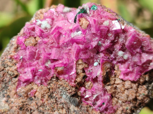 Natural Salrose Cobaltoan Dolomite with Malachite and Chrysocolla Specimens x 6 From Kakanda, Congo - Toprock Gemstones and Minerals 