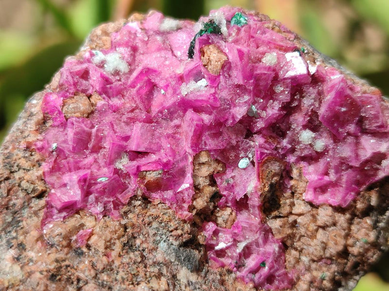 Natural Salrose Cobaltoan Dolomite with Malachite and Chrysocolla Specimens x 6 From Kakanda, Congo - Toprock Gemstones and Minerals 