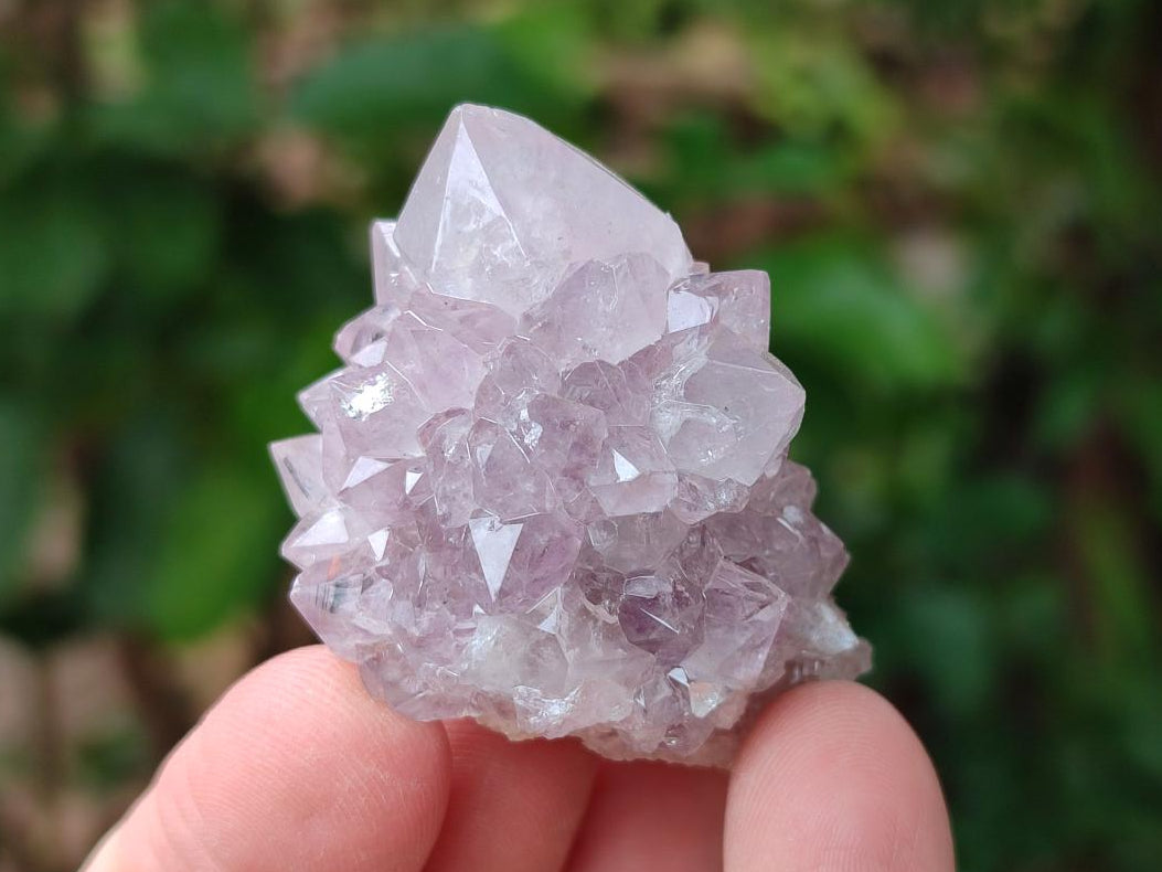 Natural Amethyst Spirit Clusters x 20 From Boekenhouthoek, South Africa - Toprock Gemstones and Minerals 