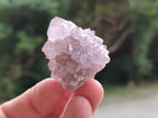 Natural Amethyst Spirit Clusters x 20 From Boekenhouthoek, South Africa - Toprock Gemstones and Minerals 
