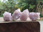 Natural Amethyst Spirit Clusters x 20 From Boekenhouthoek, South Africa - Toprock Gemstones and Minerals 