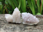 Natural Amethyst Spirit Clusters x 20 From Boekenhouthoek, South Africa - Toprock Gemstones and Minerals 