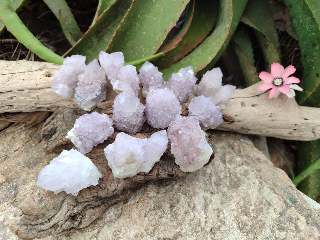 Natural Amethyst Spirit Clusters x 20 From Boekenhouthoek, South Africa - Toprock Gemstones and Minerals 