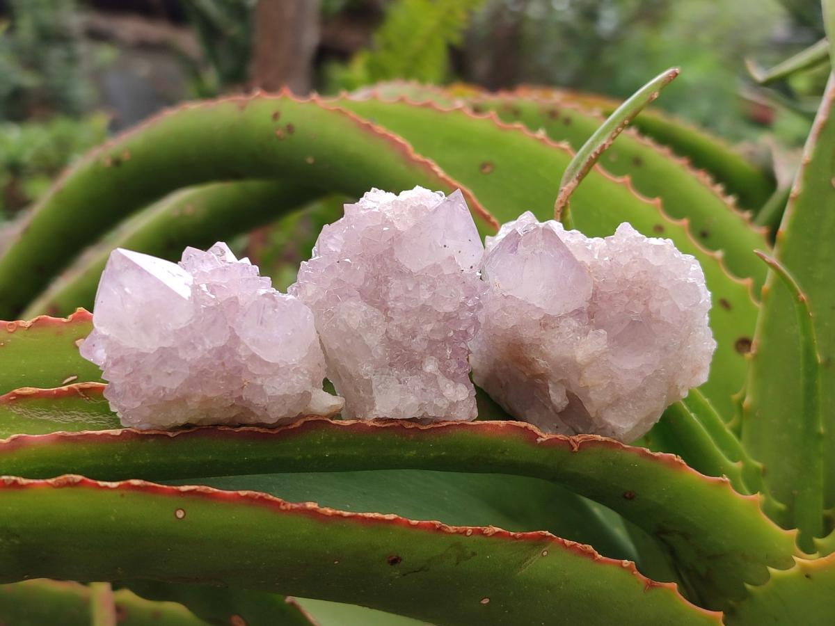 Natural Amethyst Spirit Clusters x 20 From Boekenhouthoek, South Africa - Toprock Gemstones and Minerals 