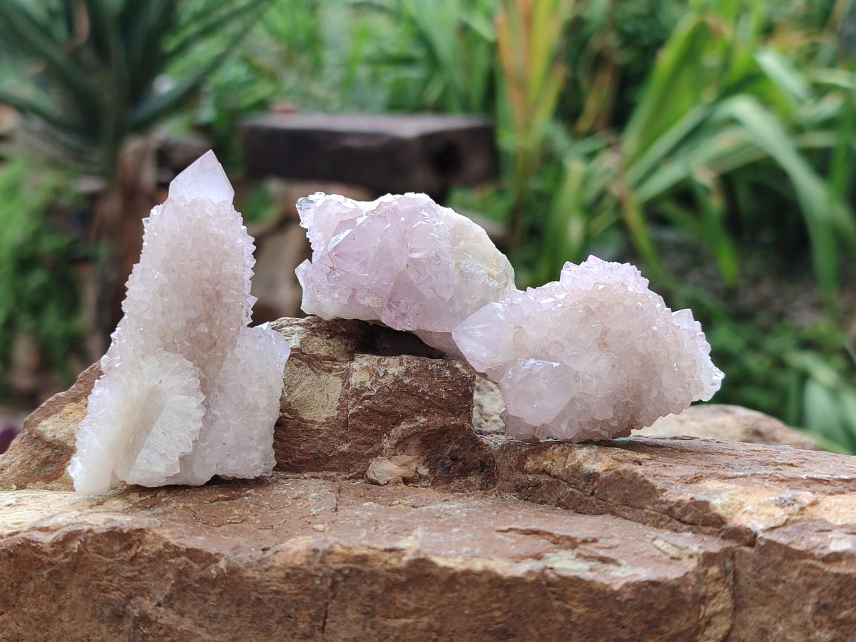 Natural Amethyst Spirit Clusters x 20 From Boekenhouthoek, South Africa - Toprock Gemstones and Minerals 
