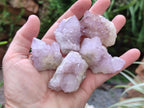 Natural Amethyst Spirit Clusters x 20 From Boekenhouthoek, South Africa - Toprock Gemstones and Minerals 