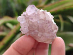 Natural Amethyst Spirit Clusters x 20 From Boekenhouthoek, South Africa - Toprock Gemstones and Minerals 