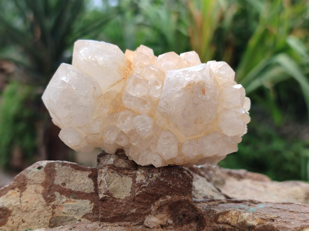 Natural Cascading Candle Quartz Clusters x 12 From Antsirabe, Madagascar - Toprock Gemstones and Minerals 