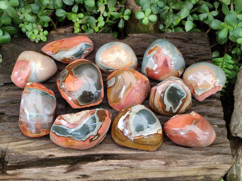 Polished On One Side Polychrome Jasper Nodules x 6 From NW Coast, Madagascar - Toprock Gemstones and Minerals 