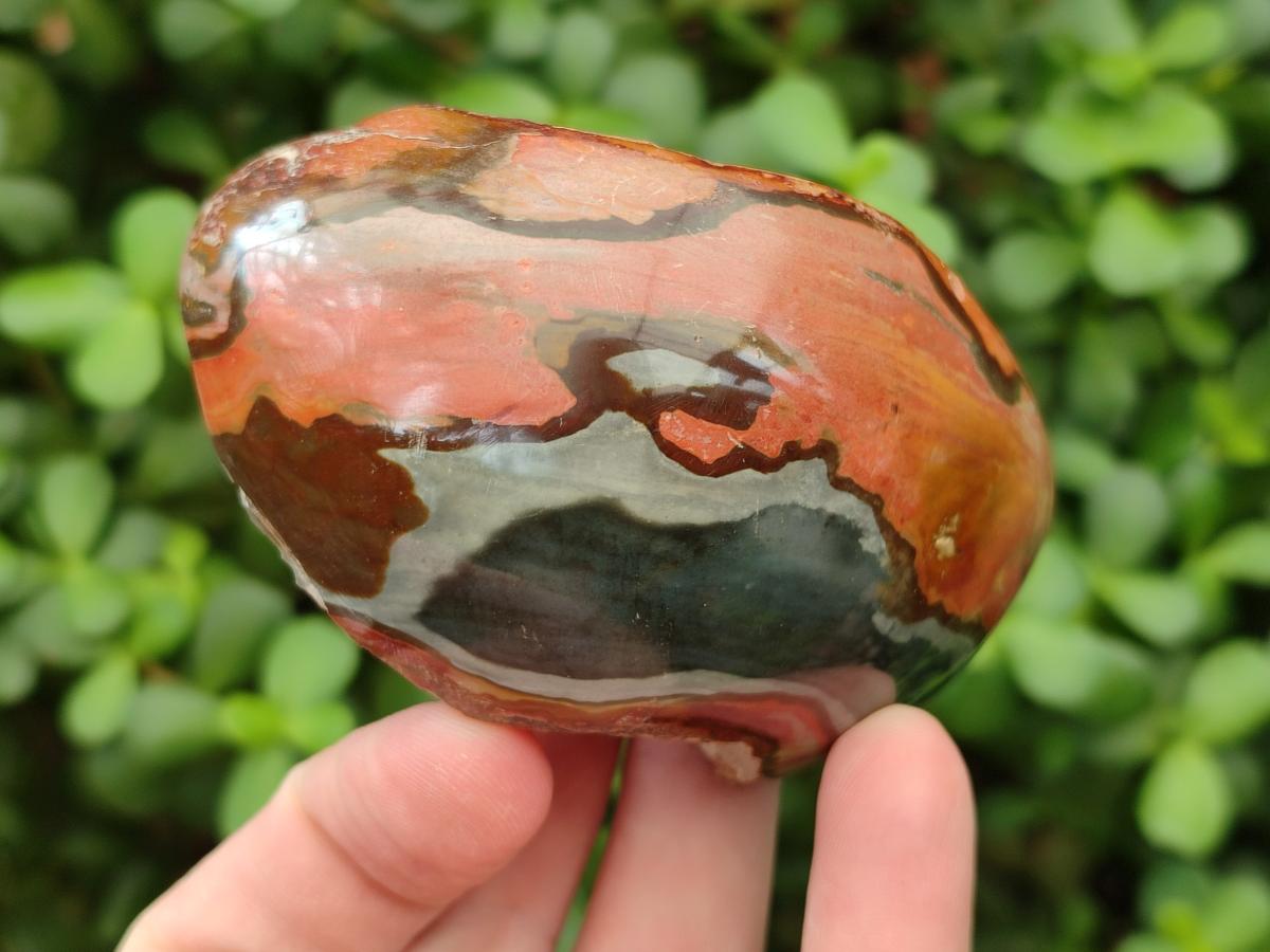 Polished On One Side Polychrome Jasper Nodules x 6 From NW Coast, Madagascar - Toprock Gemstones and Minerals 