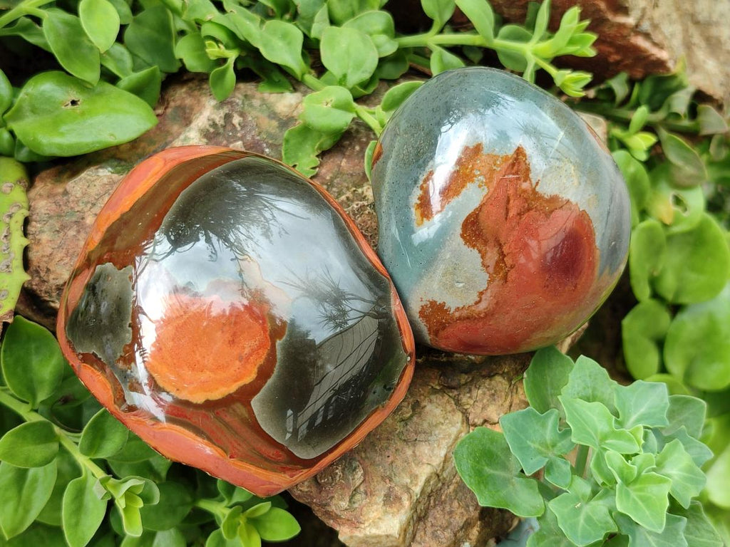 Polished On One Side Polychrome Jasper Nodules x 6 From NW Coast, Madagascar - Toprock Gemstones and Minerals 