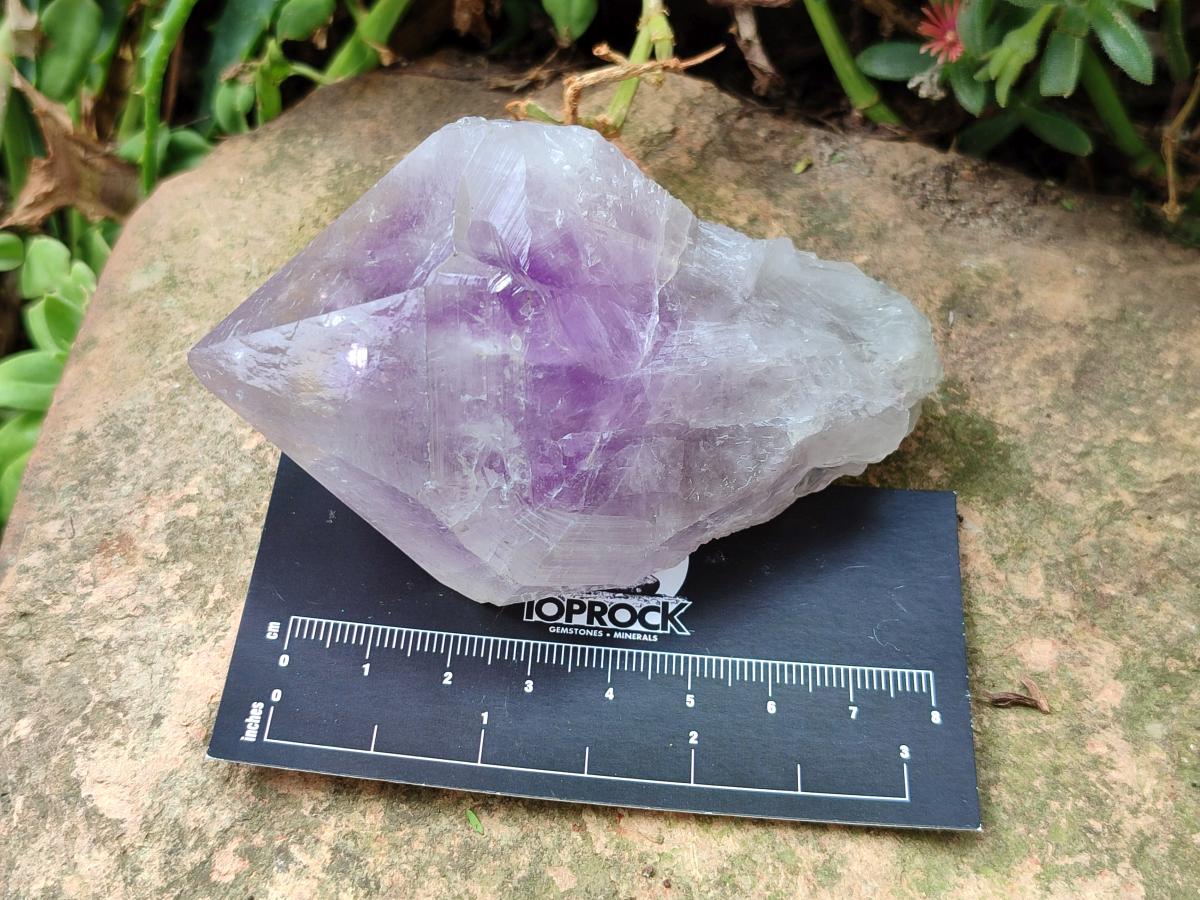 Natural Jacaranda Amethyst Single Crystals x 12 From Mumbwa, Zambia - Toprock Gemstones and Minerals 