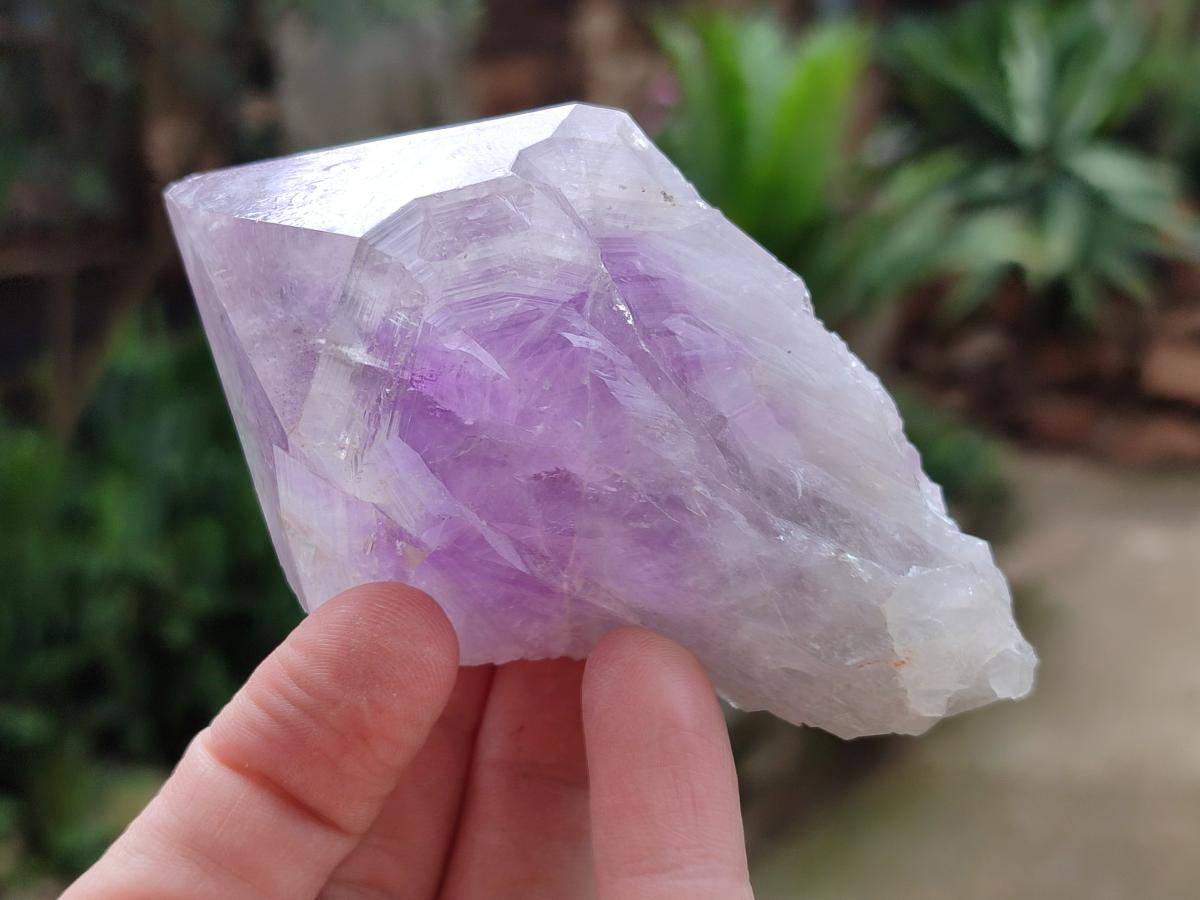 Natural Jacaranda Amethyst Single Crystals x 12 From Mumbwa, Zambia - Toprock Gemstones and Minerals 