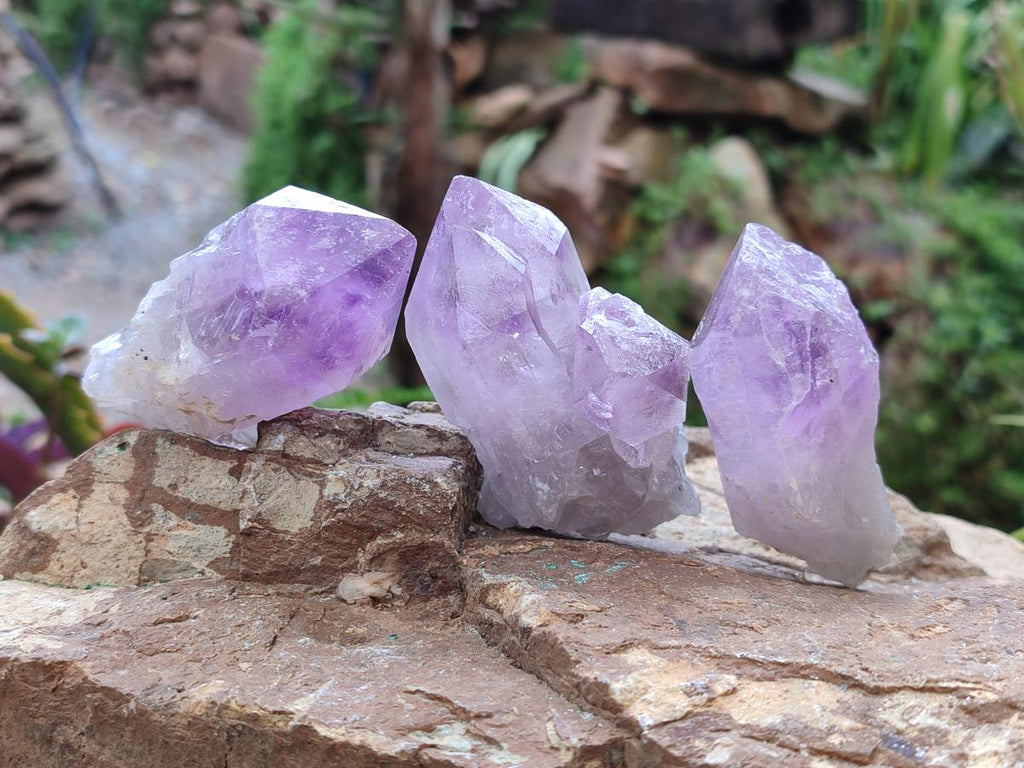 Natural Jacaranda Amethyst Single Crystals x 12 From Mumbwa, Zambia - Toprock Gemstones and Minerals 
