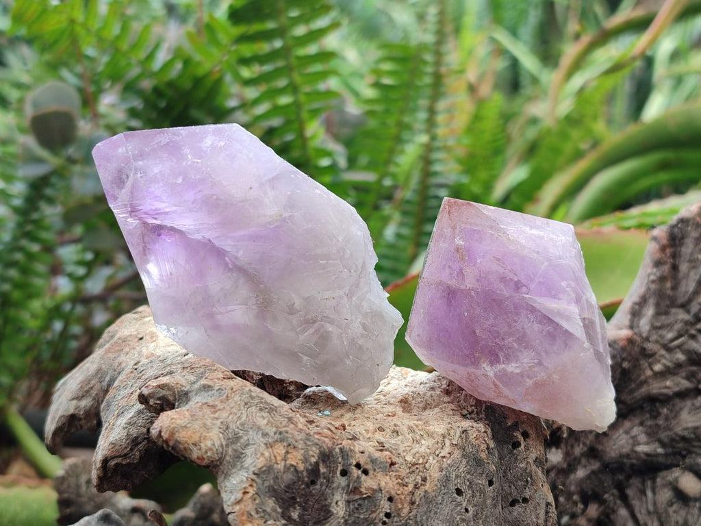 Natural Jacaranda Amethyst Single Crystals x 12 From Mumbwa, Zambia - Toprock Gemstones and Minerals 