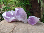 Natural Jacaranda Amethyst Single Crystals x 12 From Mumbwa, Zambia - Toprock Gemstones and Minerals 