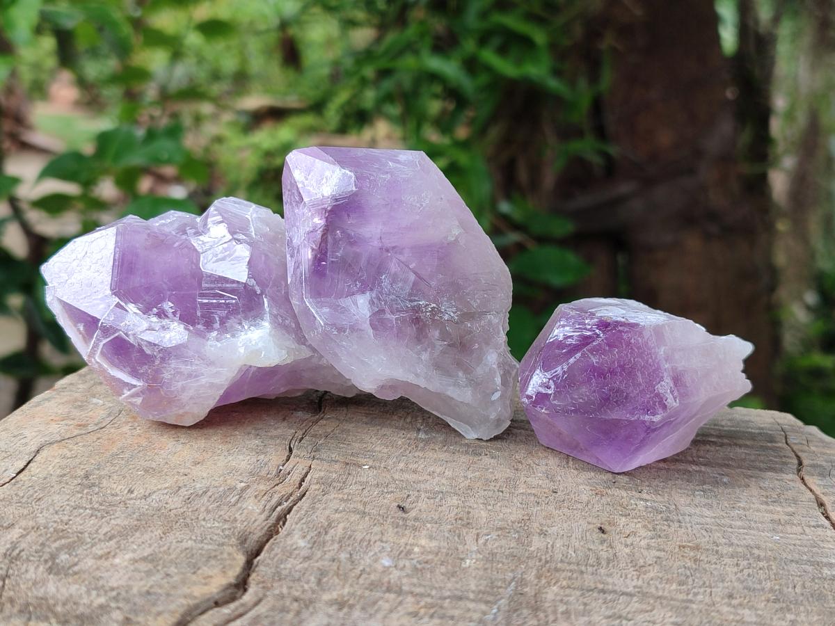 Natural Jacaranda Amethyst Single Crystals x 12 From Mumbwa, Zambia - Toprock Gemstones and Minerals 