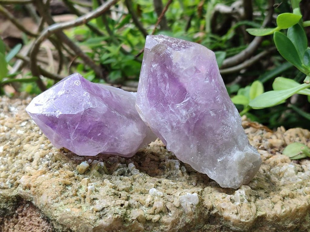 Natural Jacaranda Amethyst Single Crystals x 12 From Mumbwa, Zambia - Toprock Gemstones and Minerals 