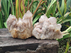 Natural Golden Smokey Phantom Quartz Clusters x 2 From Luena, Congo - Toprock Gemstones and Minerals 