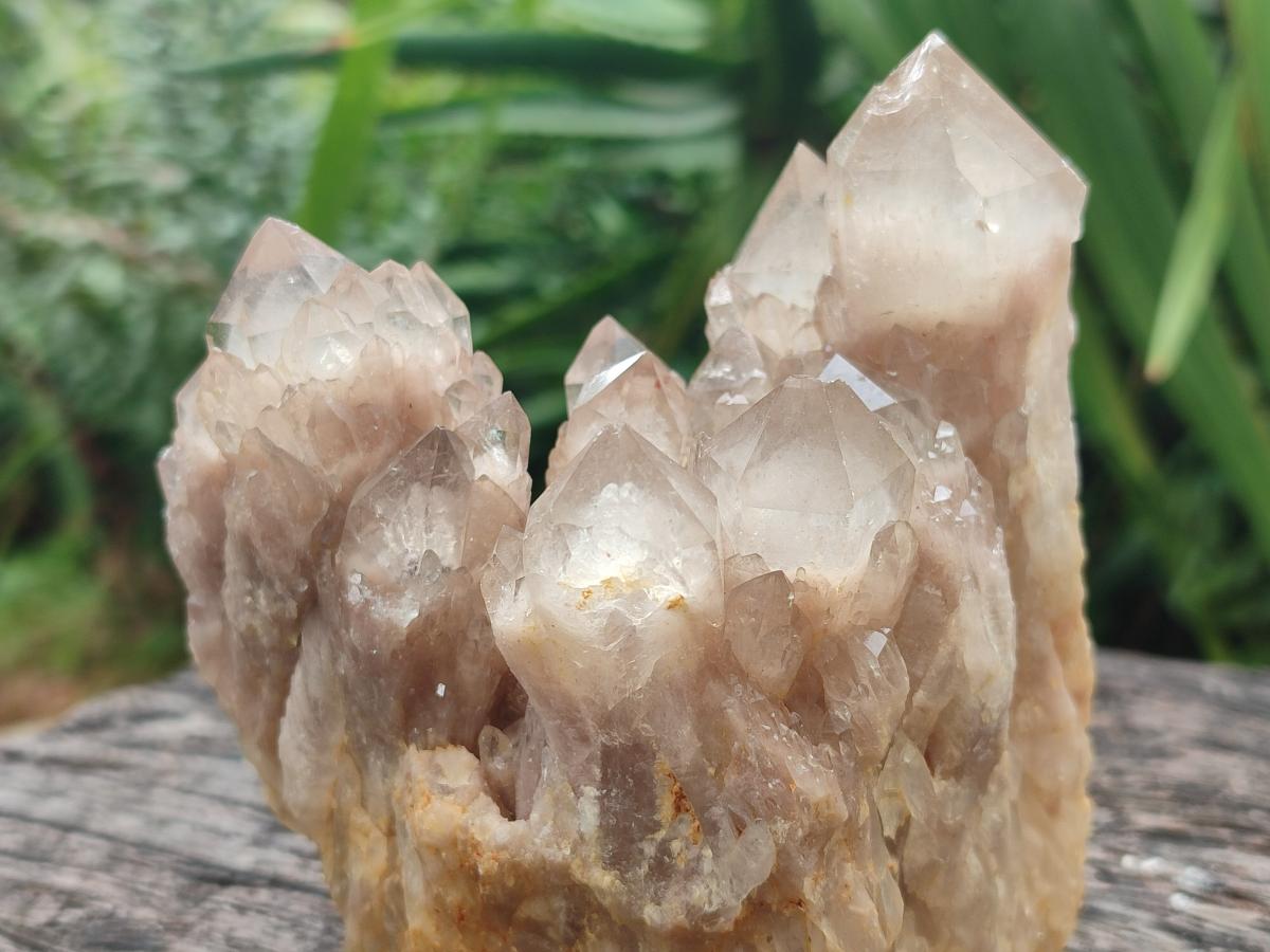 Natural Golden Smokey Phantom Quartz Clusters x 2 From Luena, Congo - Toprock Gemstones and Minerals 