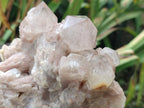 Natural Golden Smokey Phantom Quartz Clusters x 2 From Luena, Congo - Toprock Gemstones and Minerals 