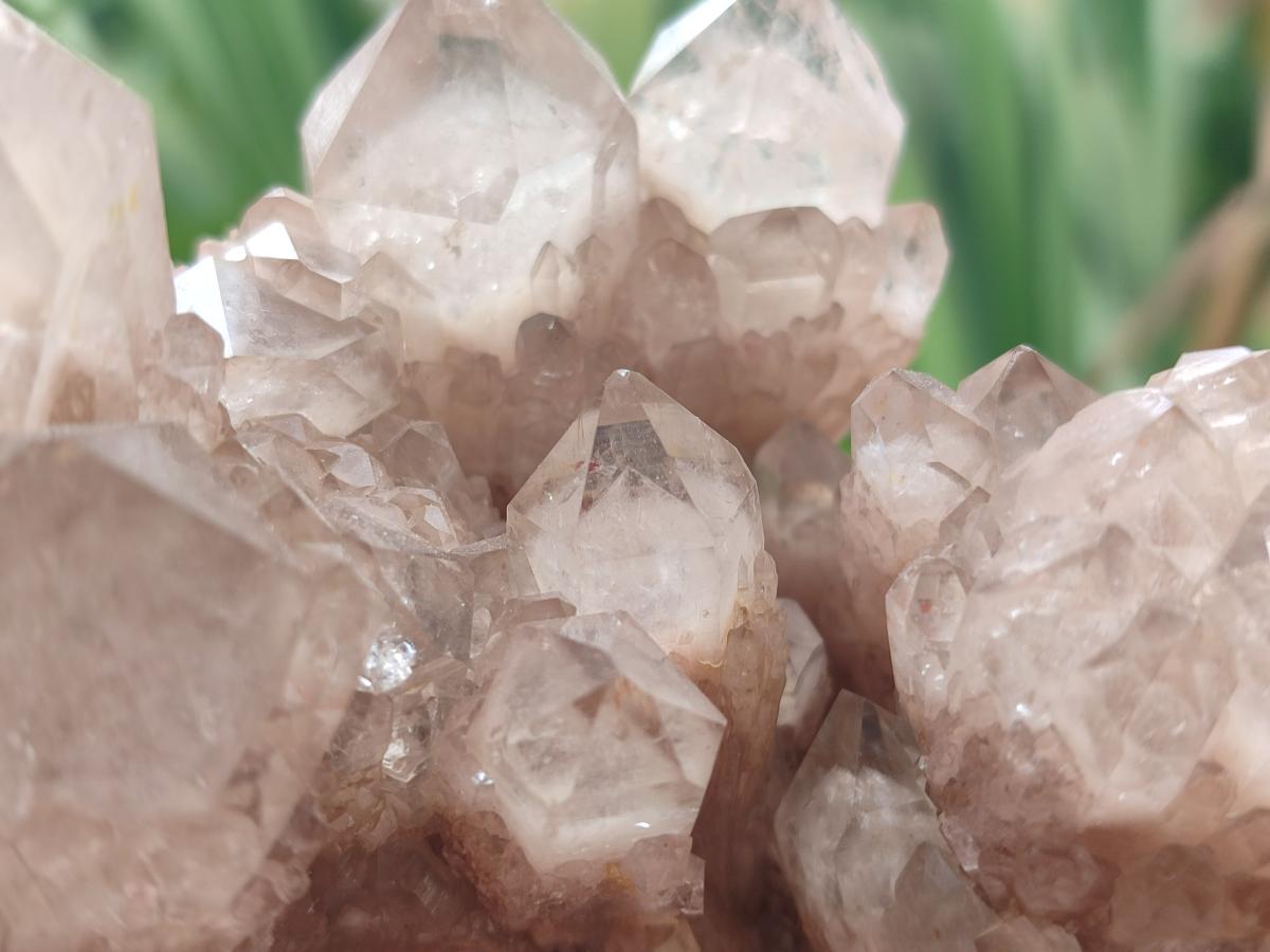 Natural Golden Smokey Phantom Quartz Clusters x 2 From Luena, Congo - Toprock Gemstones and Minerals 