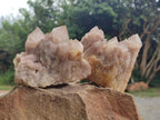 Natural Golden Smokey Phantom Quartz Clusters x 2 From Luena, Congo - Toprock Gemstones and Minerals 