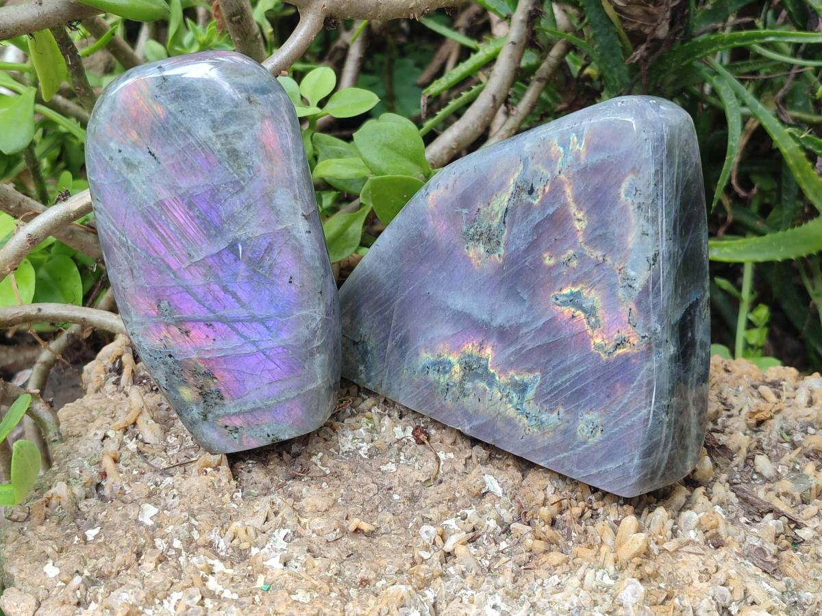Polished Rare Purple Sunset Flash Labradorite Standing Free Forms x 2 From Madagascar - Toprock Gemstones and Minerals 