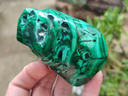 Polished Flower Banded Malachite Free Forms x 12 From Congo - Toprock Gemstones and Minerals 