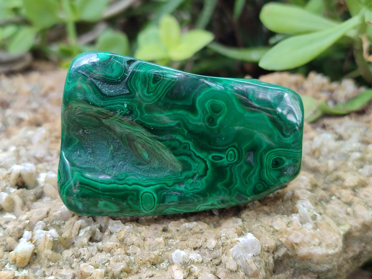 Polished Flower Banded Malachite Free Forms x 12 From Congo - Toprock Gemstones and Minerals 