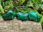Polished Flower Banded Malachite Free Forms x 12 From Congo - Toprock Gemstones and Minerals 
