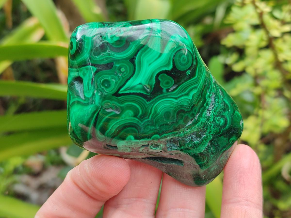 Polished Flower Banded Malachite Free Forms x 12 From Congo - Toprock Gemstones and Minerals 