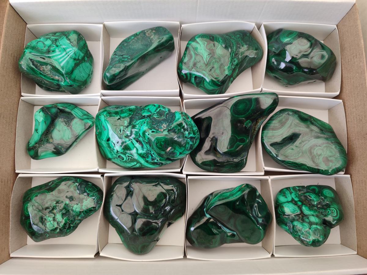 Polished Flower Banded Malachite Free Forms x 12 From Congo - Toprock Gemstones and Minerals 