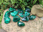 Polished Flower Banded Malachite Free Forms x 12 From Congo - Toprock Gemstones and Minerals 