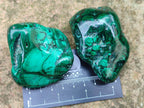 Polished Flower Banded Malachite Free Forms x 12 From Congo - Toprock Gemstones and Minerals 
