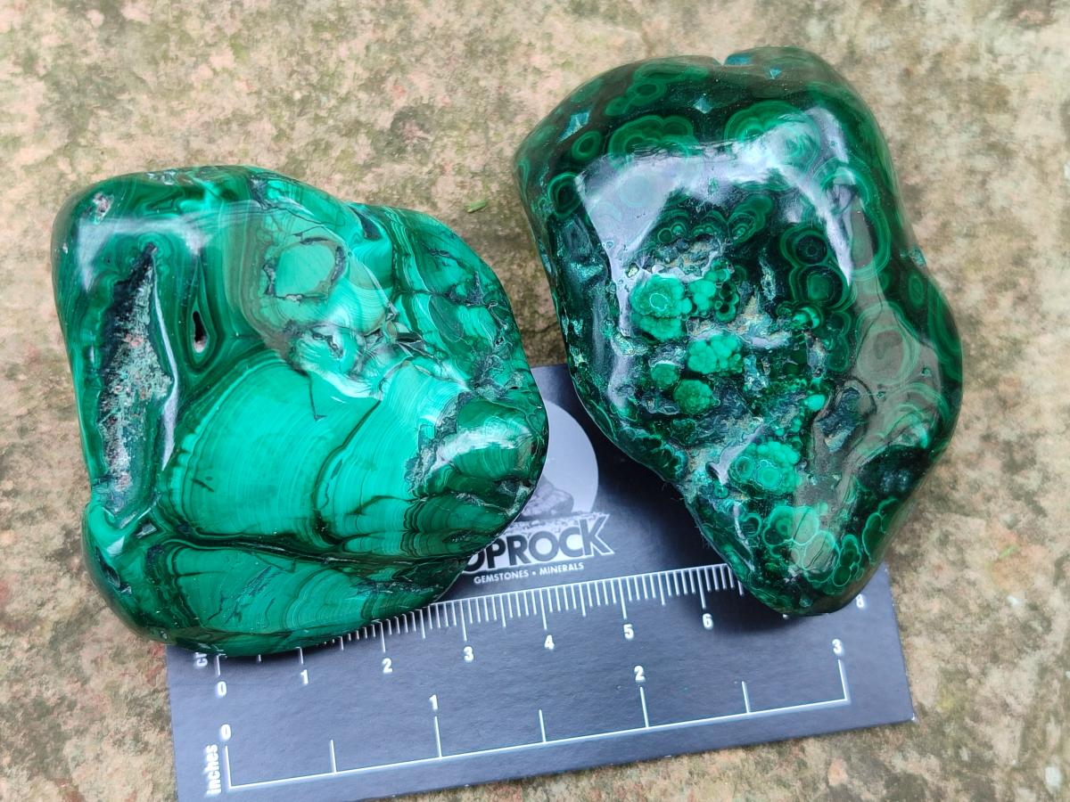 Polished Flower Banded Malachite Free Forms x 12 From Congo - Toprock Gemstones and Minerals 