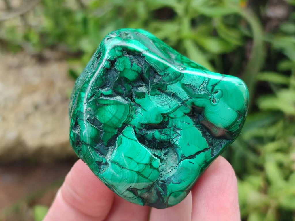 Polished Flower Banded Malachite Free Forms x 12 From Congo - Toprock Gemstones and Minerals 