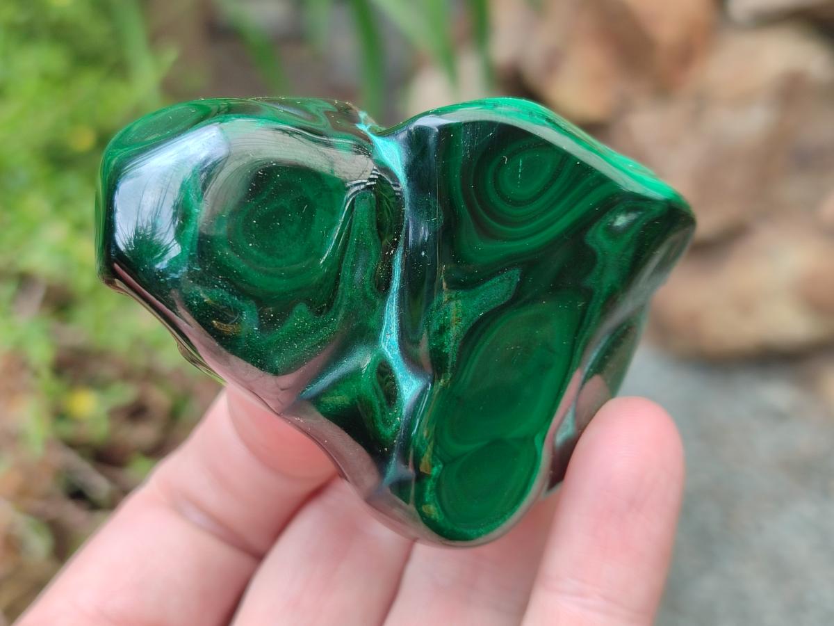 Polished Flower Banded Malachite Free Forms x 12 From Congo - Toprock Gemstones and Minerals 