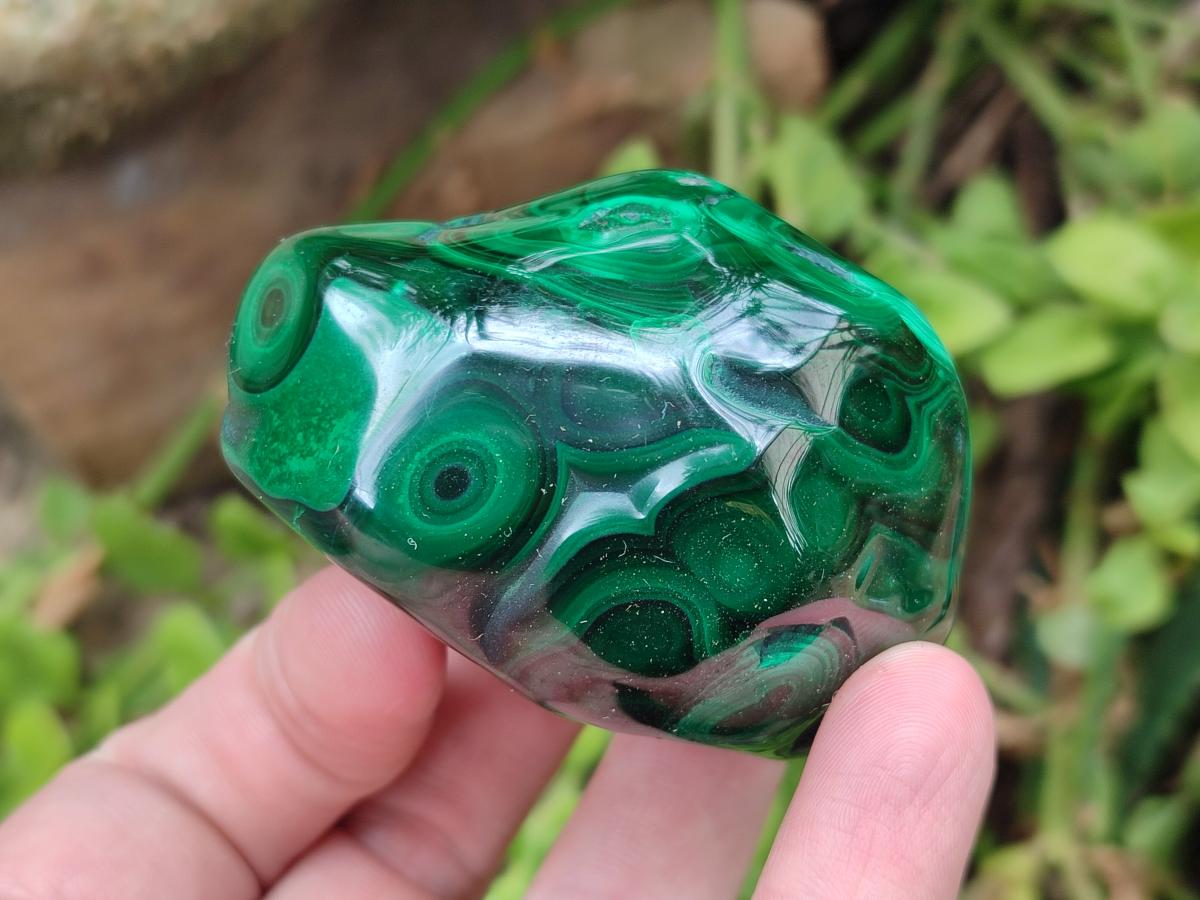 Polished Flower Banded Malachite Free Forms x 12 From Congo - Toprock Gemstones and Minerals 