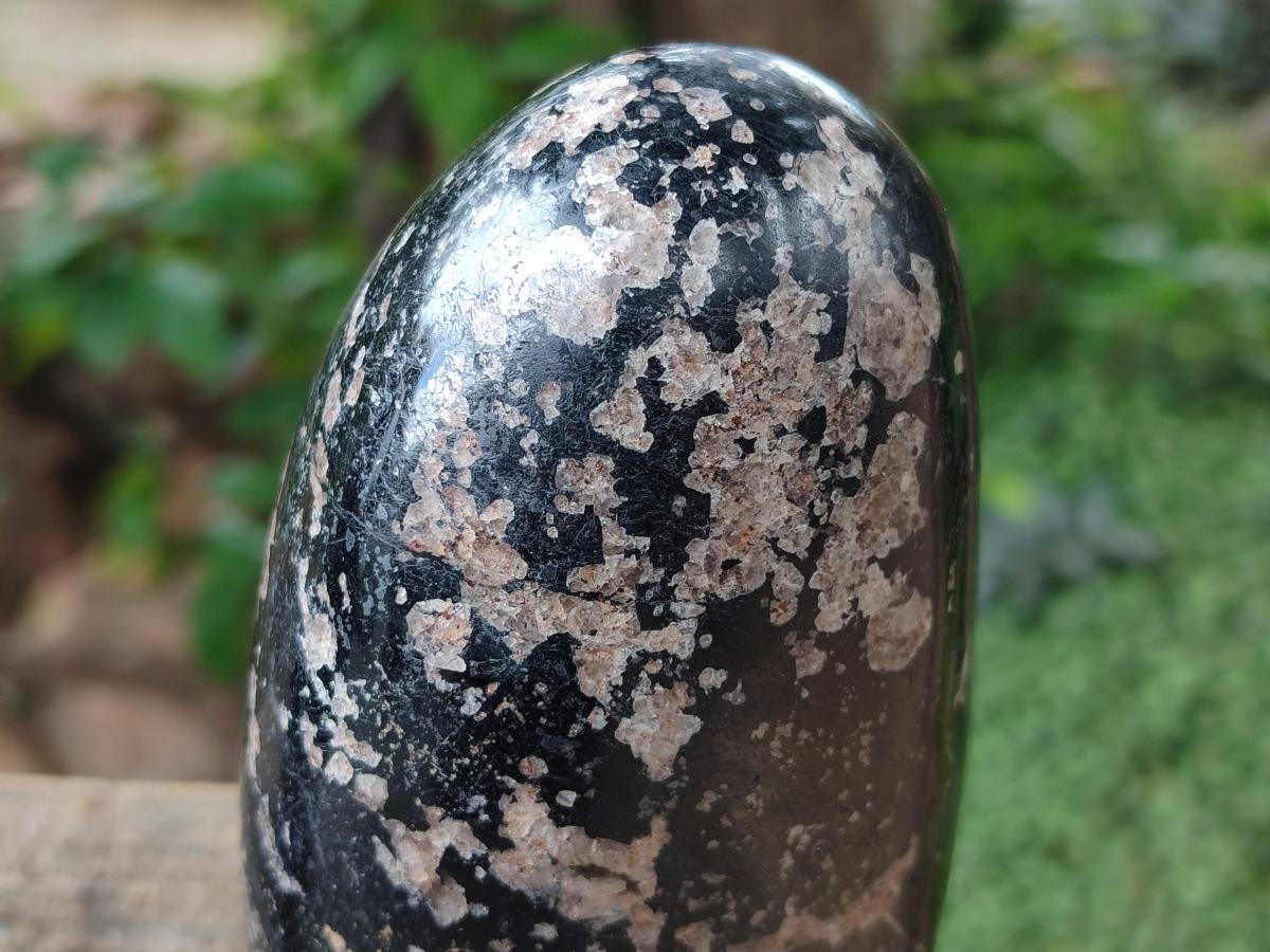 Polished Black Tourmaline Standing Free Forms x 2 From Madagascar - Toprock Gemstones and Minerals 