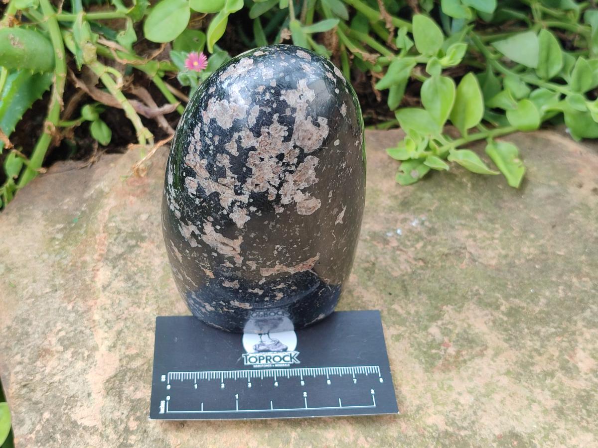 Polished Black Tourmaline Standing Free Forms x 2 From Madagascar - Toprock Gemstones and Minerals 