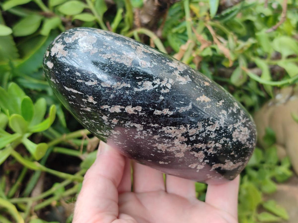 Polished Black Tourmaline Standing Free Forms x 2 From Madagascar - Toprock Gemstones and Minerals 