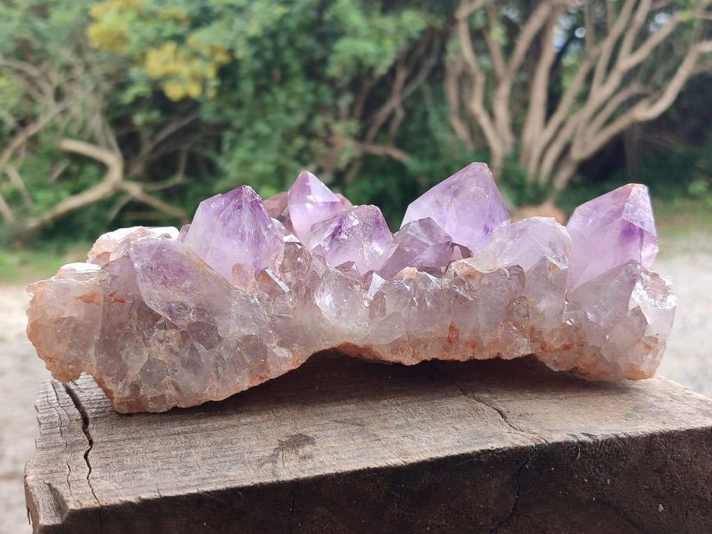 Natural Jacaranda Amethyst Crystal Clusters x 2 From Mumbwa, Zambia - Toprock Gemstones and Minerals 