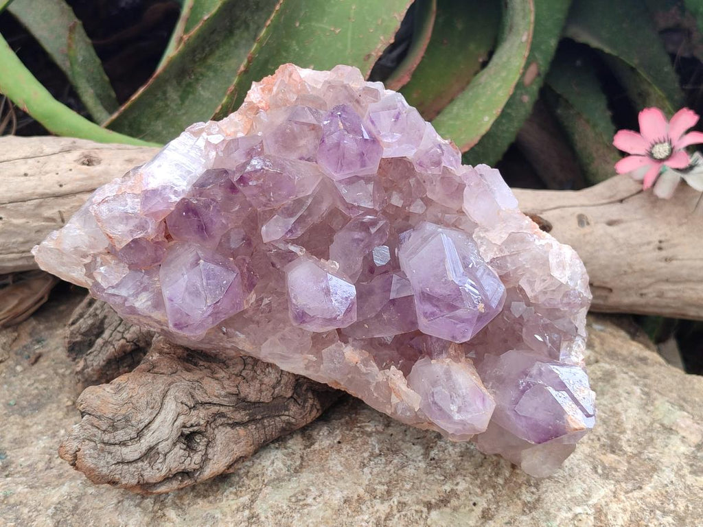 Natural Jacaranda Amethyst Crystal Clusters x 2 From Mumbwa, Zambia - Toprock Gemstones and Minerals 