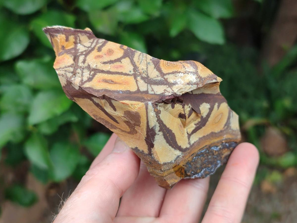 Natural Nguni Jasper Cobbed Specimens x 12 From Northern Cape, South Africa - Toprock Gemstones and Minerals 