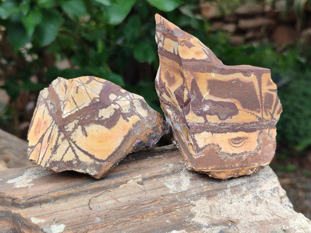 Natural Nguni Jasper Cobbed Specimens x 12 From Northern Cape, South Africa - Toprock Gemstones and Minerals 