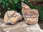 Natural Nguni Jasper Cobbed Specimens x 12 From Northern Cape, South Africa - Toprock Gemstones and Minerals 