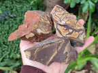 Natural Nguni Jasper Cobbed Specimens x 12 From Northern Cape, South Africa - Toprock Gemstones and Minerals 